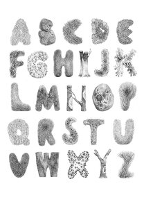 Mossy alphabet
